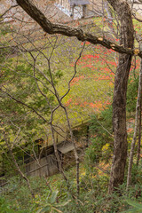 日本　福島県南会津郡下郷町大字大内にある見晴らし台から見える大内宿の町並みと紅葉