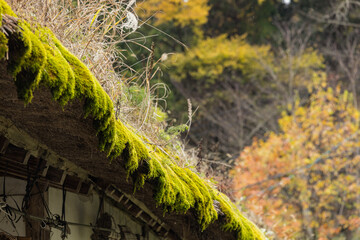 日本　福島県南会津郡下郷町大字大内にある大内宿の茅葺屋根の民家