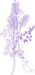 Bouquet (composition) of tropical botanical and plant elements (silhouettes, linear drawings) on a transparent background (PNG file)