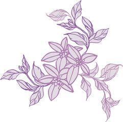 Fototapeta na wymiar Bouquet (composition) of tropical botanical and plant elements (silhouettes, linear drawings) on a transparent background (PNG file)