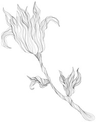 Abstract leaves isolated on white. Line ink hand drawn illustration.