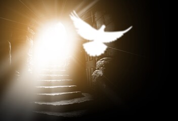 White dove symbolizing the crucifixion of Jesus Christ, Easter