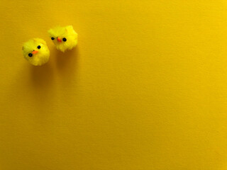Easter chicks isolated on yellow background with room for text