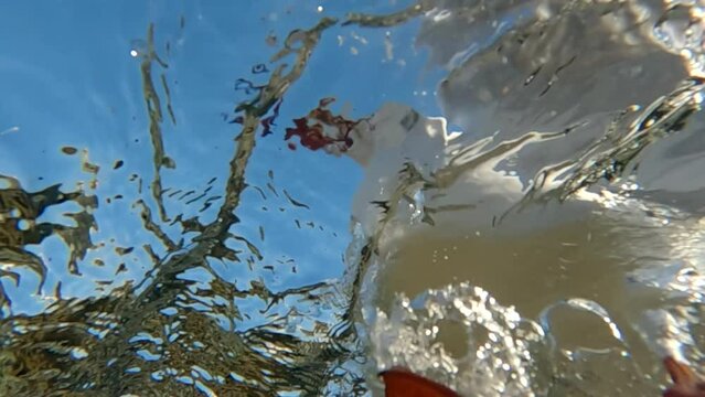 Underwater shot, Bottom view of seagull fly and land on the water on blue sky background, Slow motion, Close up
