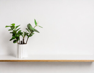 pot flower on shelf wall