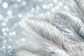 Close Up of a White Feather on a Blue Background