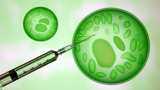 3d rendering of algae genetic engineering, they can make more biofuels, healthier food, and even clean up pollution
