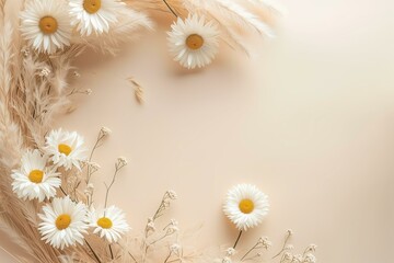 fresh daisies wreath with dry pampas grass on a pastel background