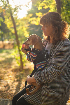 Dog training in autumn park at sunset. Happy brunette caucasian woman in casual clothes feeding her concentrated dachshund puppy outdoor. High quality vertical photo