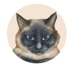 Portrait of a Siamese cat with blue eyes. Hand drawn watercolor painting illustration isolated 