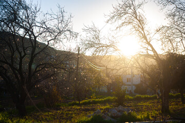 Fototapety na wymiar - Fototapeta24.pl