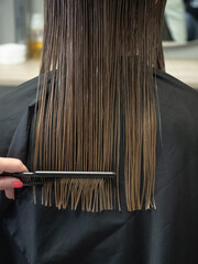 Naklejka premium Hairdresser combs smooth wet hair