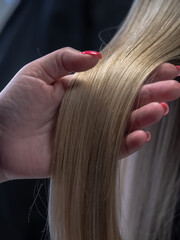 Hairdresser holds a strand of beautiful hair in hand