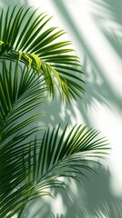 A palm leaves against grey background, in the style of light white and light emerald. Generative AI.