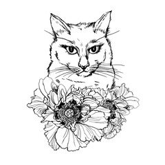 Portrait of a Siamese cat with peonies. Black and white outline illustration, hand drawn work isolated on white background.	
