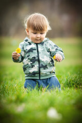 Happy little blond boy sniffing a little yallow flower on a green field. Cute toddler exploring nature. Close-up