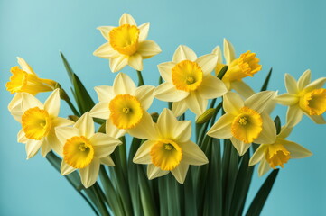 Bright Yellow Daffodils Against Blue