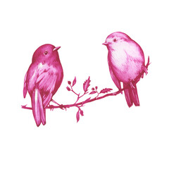 Couple pink robin birds sitting on a branch in Toile de Jouy fabric style. Hand drawn monochrome watercolor painting illustration isolated on white background