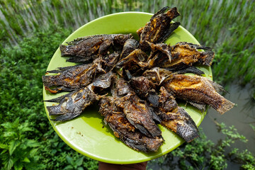 Fried fish on a plate in the rice fields ready to eat