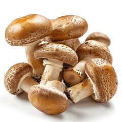 Group of Brown Cremini Mushrooms