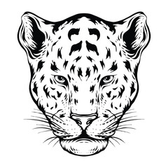 jaguar black and white line art illustration 