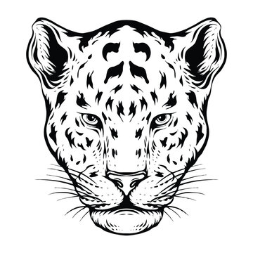 jaguar black and white line art illustration 