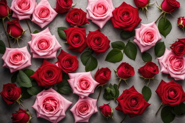 Obraz premium Red and Pink Roses on Gray Background