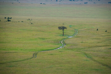 Lot balonem nad Masai Mara  Park narodowy Kenya © kubikactive
