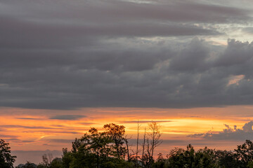 Naklejka premium Alençon, France - 08 18 2023: Sky Background. Detail view of a cloudscape with colored clouds and trees at sunrise.