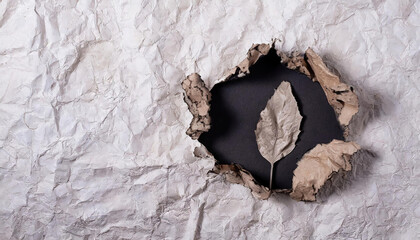 Hole ripped in white paper with dry leaves on black background. View from above, space for your text.