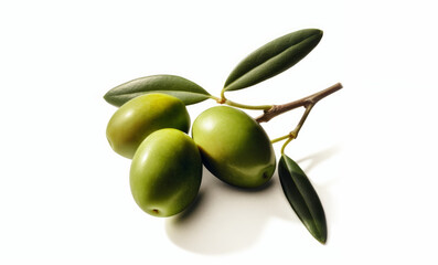 olive with leaf isolated