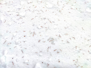 Close-Up View of White snow Texture With Small needles. Abstract background, texture, pattern, copy space