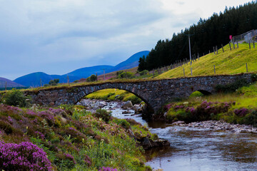 stone bridge in a Scottish mountains with wild river and flowers in a cloudy day 