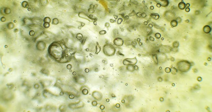 Apple under a microscope with floating germs, microbes and bacteria. Infected view of a surface of the bitten apple. Microscopic view of a fruit. Inside of an apple under a scope. Cinematic closeup.