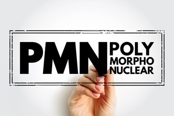 PMN PolyMorphoNuclear - having a nucleus with several lobes and a cytoplasm that contains granules, as in an eosinophil or basophil, acronym text concept stamp - obrazy, fototapety, plakaty