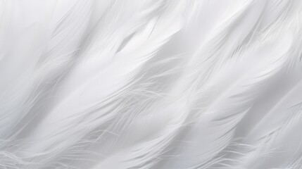 Obraz premium Beautiful soft white feather texture, close up animal hair abstract background.