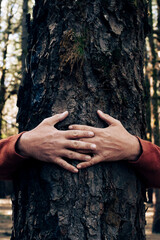 Nature lover hugging trunk tree with green musk in tropical woods forest. Green natural background. Concept of people love nature and protect from deforestation or pollution or climate change