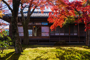 日本の風景・秋　紅葉の箱根美術館　神仙郷