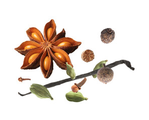 Different aromatic spices falling on white background