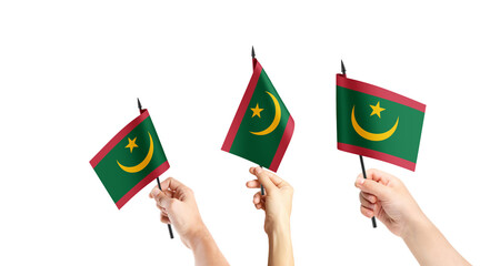 A group of people are holding small flags of Mauritania in their hands.