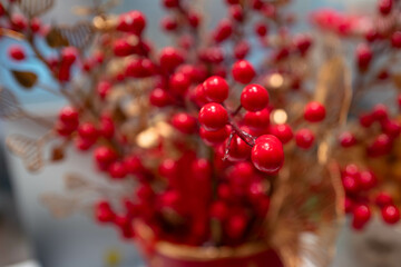 red currant bush