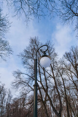 St. Petersburg, Russia, February 4, 2024. Vintage lantern among the trees in the Mikhailovsky Garden.