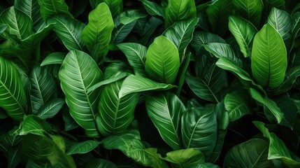 Sleek Leafy Green Background
