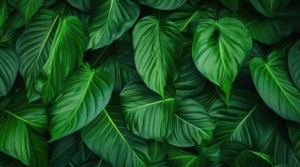 Elegant Leafy Green Background