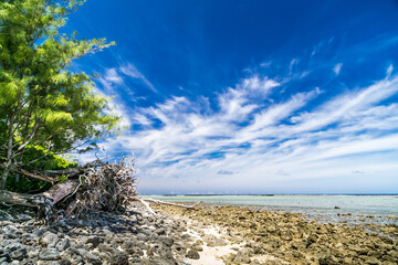 Tropical coast on the Cook Islands. Paradise destination Rarotonga. Tropical Island Rarotonga. Rocky beach with green trees. Azure blue sky with clouds during sunny day.