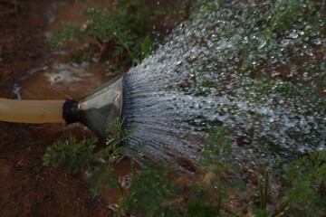 Un arrosoir pour arroser les jardins