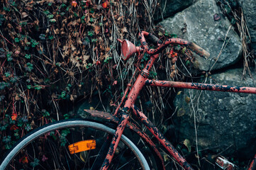 Old rusty bicycle - obrazy, fototapety, plakaty