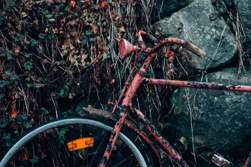 Foto op Plexiglas Old rusty bicycle © YARphotographer