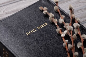 Christian bible with fresh willow