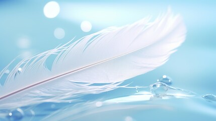 Fototapeta na wymiar Beautiful soft white bird feather texture with water drop lets on a smooth bokeh light blue background.
